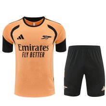 Arsenal Training  Fans Kits Yellow 1:1 Quality Soccer Jersey 25-26 (Kids And Man ) (16-2XL)