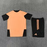 Arsenal Training  Fans Kits Yellow 1:1 Quality Soccer Jersey 25-26 (Kids And Man ) (16-2XL)