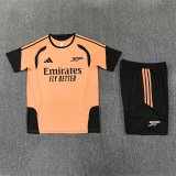 Arsenal Training  Fans Kits Yellow 1:1 Quality Soccer Jersey 25-26 (Kids And Man ) (16-2XL)