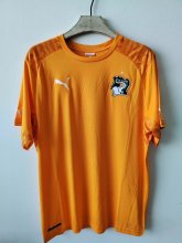 Retro  Ivory Coast Home Fans 1:1 Quality Soccer Jersey 2014