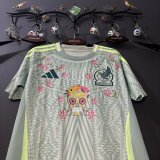 Mexico Away Embroidery Special Edition Fans 1:1 Quality Soccer Jersey   26-27（2026）