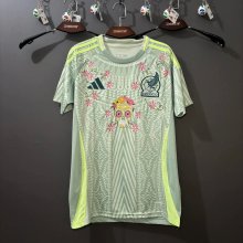 Mexico Away Embroidery Special Edition Fans 1:1 Quality Soccer Jersey   26-27（2026）