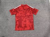 Nottingham Forest  Home   Fans 1:1 Quality Soccer Jersey 26-27
