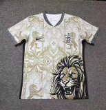 England  England Special Edition Fans 1:1 Quality Soccer Jersey  26-27 (2026)