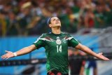 Retro Mexico Home Fan  1:1 Quality Soccer Jersey  2014