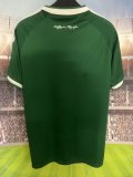 Panathinaikos Home Fans 1:1 Quality Soccer Jersey 26-27