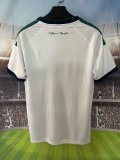 Panathinaikos away Fans 1:1 Quality Soccer Jersey 26-27