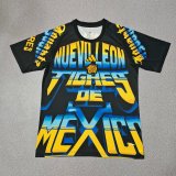 Tiger Special Edition Fans  1:1 Quality Soccer Jersey  26-27