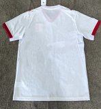 Southampton Third Away Fans 1:1 Quality Soccer Jersey   26-27