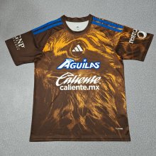 America Special Edition Fans 1:1 Quality Soccer Jersey   26-27