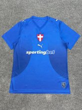 Palmeiras Third  Away Fans 1:1 Quality Soccer Jersey   26-27