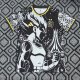 Algeria Training Special Edition Fans Black 1:1 Quality Soccer Jersey  26-27(2026)