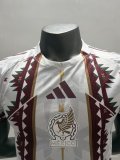 Mexico Special Edition Player 1:1 Quality Soccer Jersey   26-27 (2026)
