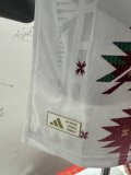 Mexico Special Edition Player 1:1 Quality Soccer Jersey   26-27 (2026)