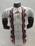 Mexico Special Edition Player 1:1 Quality Soccer Jersey   26-27 (2026)