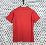 Retro Cardiff City  1:1 Quality Soccer Jersey 2012-2013