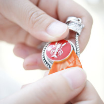 10pcs pearl color Snap Pick Tool High quality no break MIX colors for random