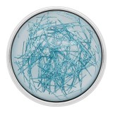 20MM design snap Silver Plated blue Thread KC2221