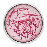 20MM design snap Silver Plated with rose-red Thread KC2218