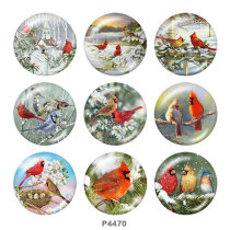 20MM bird  Print glass snaps buttons