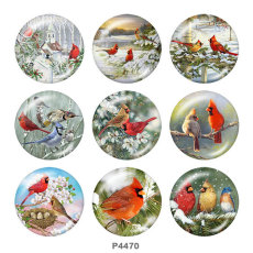 20MM bird  Print glass snaps buttons