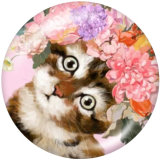 20MM animal Print glass snaps buttons