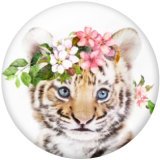 20MM animal Print glass snaps buttons