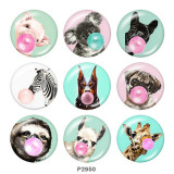 20MM animal Print glass snaps buttons