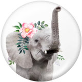 20MM animal Print glass snaps buttons