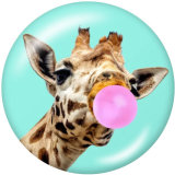 20MM animal Print glass snaps buttons