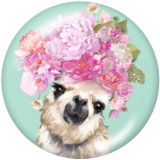 20MM animal Print glass snaps buttons