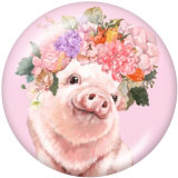 20MM animal Print glass snaps buttons