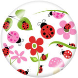 20MM Ladybug Print glass snaps buttons