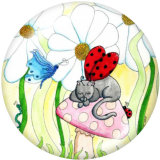 20MM Ladybug Print glass snaps buttons