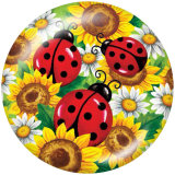 20MM Ladybug Print glass snaps buttons