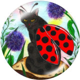 20MM Ladybug Print glass snaps buttons
