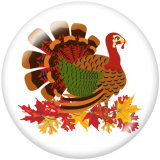 20MM Thanksgiving Print glass snaps buttons
