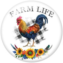 20MM farm Print glass snaps buttons