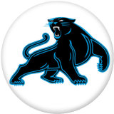 20MM team Sport glass snaps buttons