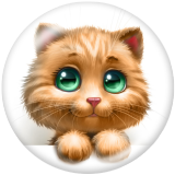 20MM cat  Print glass snaps buttons