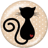 20MM cat  Print glass snaps buttons