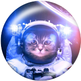 20MM cat  Print glass snaps buttons