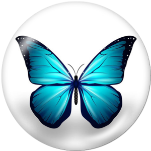 20MM butterfly Print glass snaps buttons