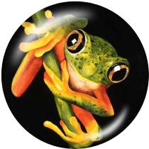 20MM frog Print glass snaps buttons