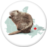 20MM Canada Print glass snaps buttons