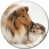 20MM dog Print glass snaps buttons
