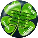 20MM Clover Print glass snaps buttons