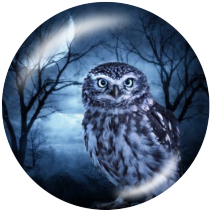20MM owl Print glass snaps buttons