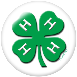 20MM Clover Print glass snaps buttons