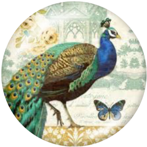 20MM peacock Print glass snaps buttons